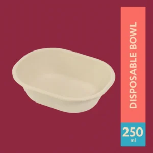 250ml Disposable Bowl