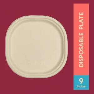 9" Disposable Plate