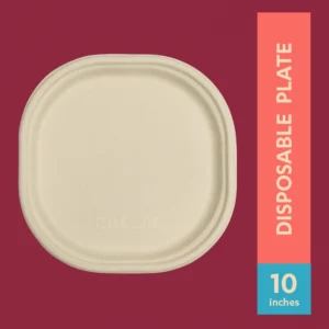 10"Disposable Plate