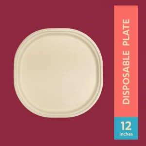 12"Disposable Plate