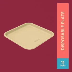 11"Disposable Plate