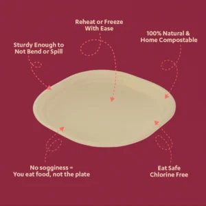 10 inches Plate